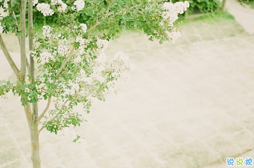 经典正能量朋友圈说说带图片 2018别人必评的经典说说配图7