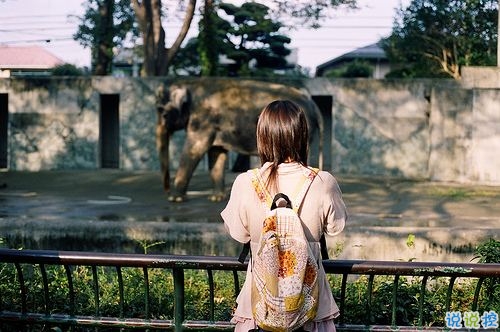 女生治愈系说说简短好听带图片 可以帮你疗伤的爱情说说8