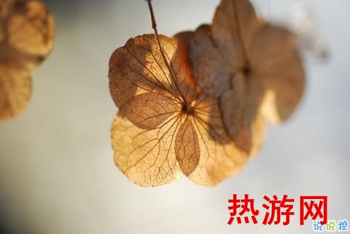 输得一塌糊涂的爱情伤感说说 句句写入心坎的伤感说说大全1