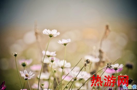 很精辟人生感悟的句子和图片 写人生感悟的句子带图片20184