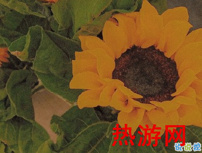 最新早安暖心话给老婆 早安我的老婆大人1