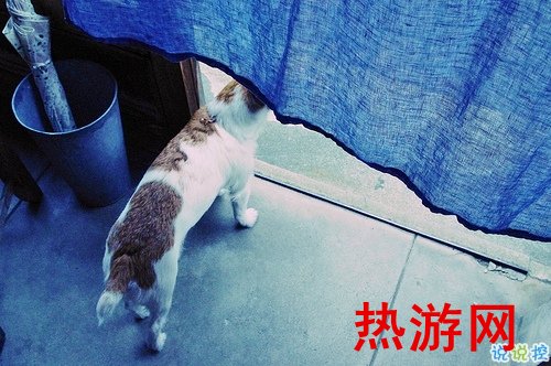 2019猪年除夕祝福语说说简短 致所有人的猪年暖心祝福1