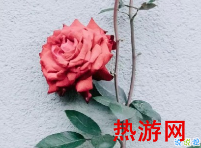 抖音2020年个性说说大全 最新温暖治愈系说说1