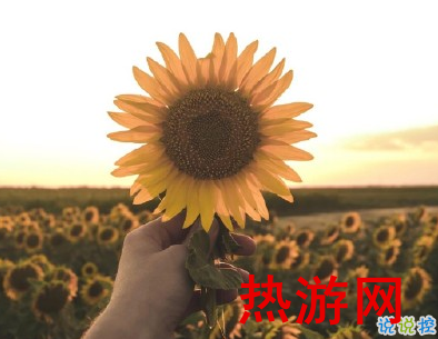 抖音2020年个性说说大全 最新温暖治愈系说说2