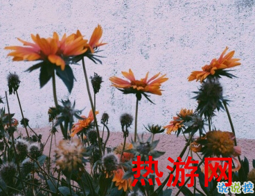 qq扩列说说经典有个性 滚滚红尘市井烟火2