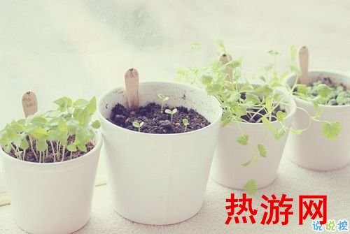 最近特别流行的个性说说大全 独一无二的朋友圈个性说说20191