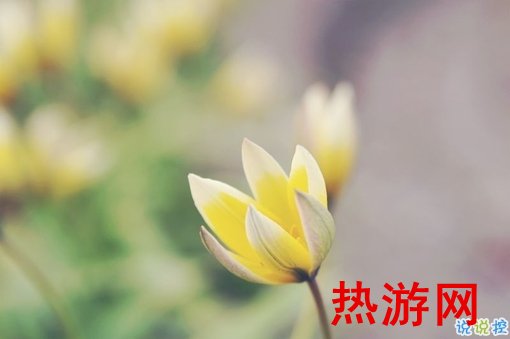 2019二月再见三月你好说说经典励志 三月你好微信早安句子2